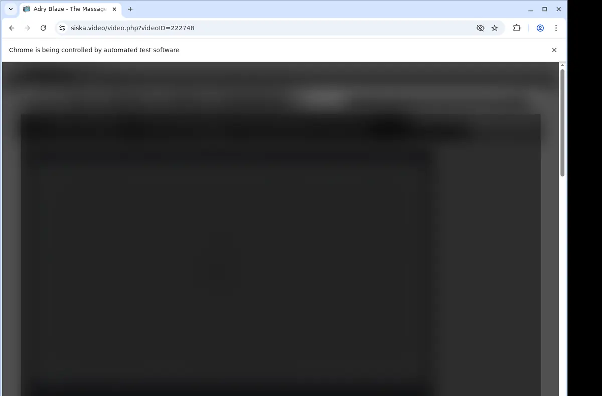 Siska Video Downloader browser extension screenshot 2