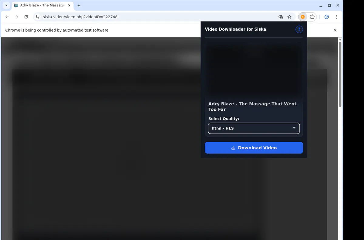 Siska Video Downloader browser extension screenshot 3