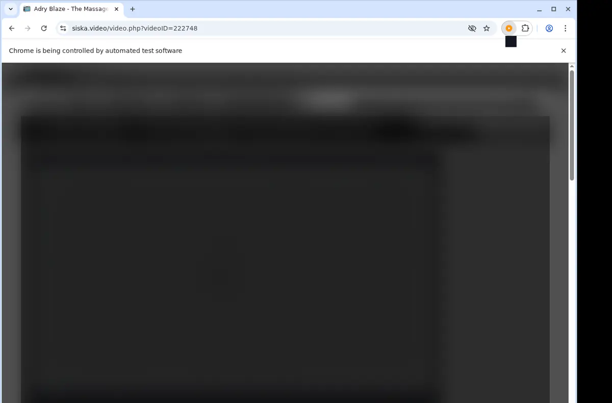 Siska Video Downloader browser extension screenshot 5